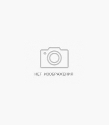 Вентилятор 100 ДВ защитная сетка,шнурковый выключатель (18шт/уп)
